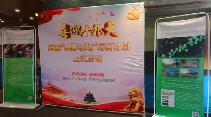 XPJ(中国大陆)有限公司官网