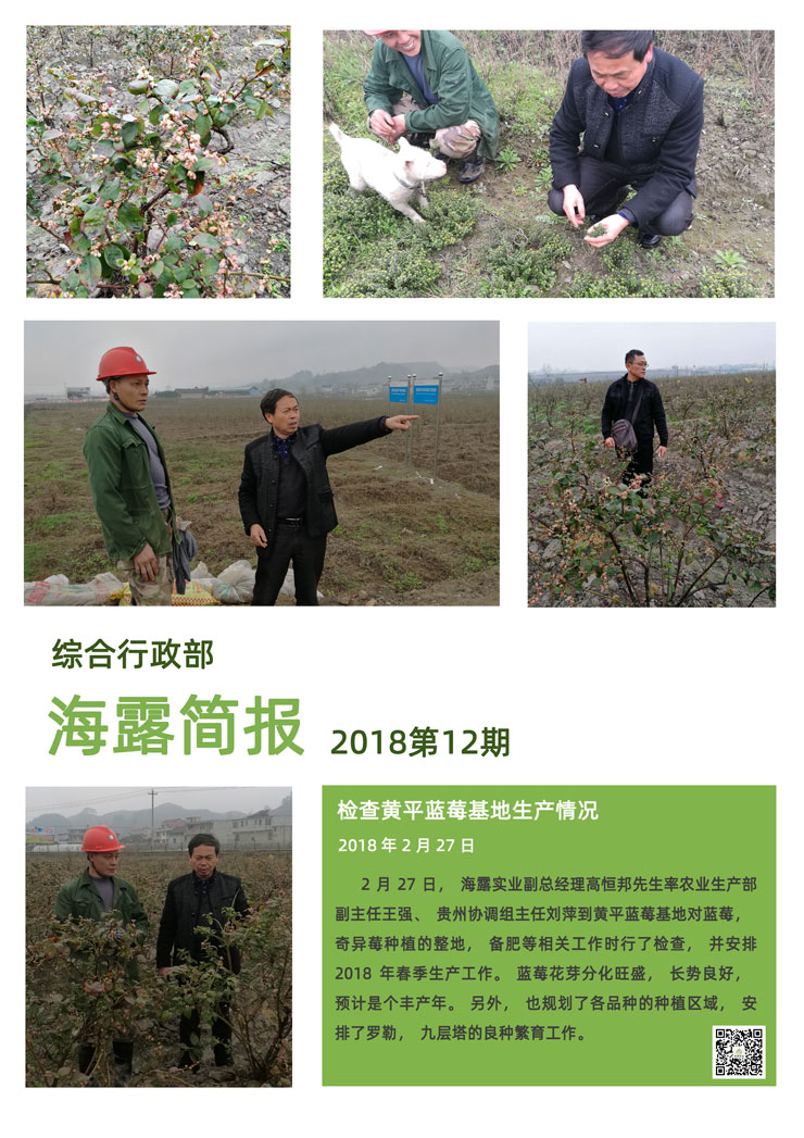 XPJ(中国大陆)有限公司官网