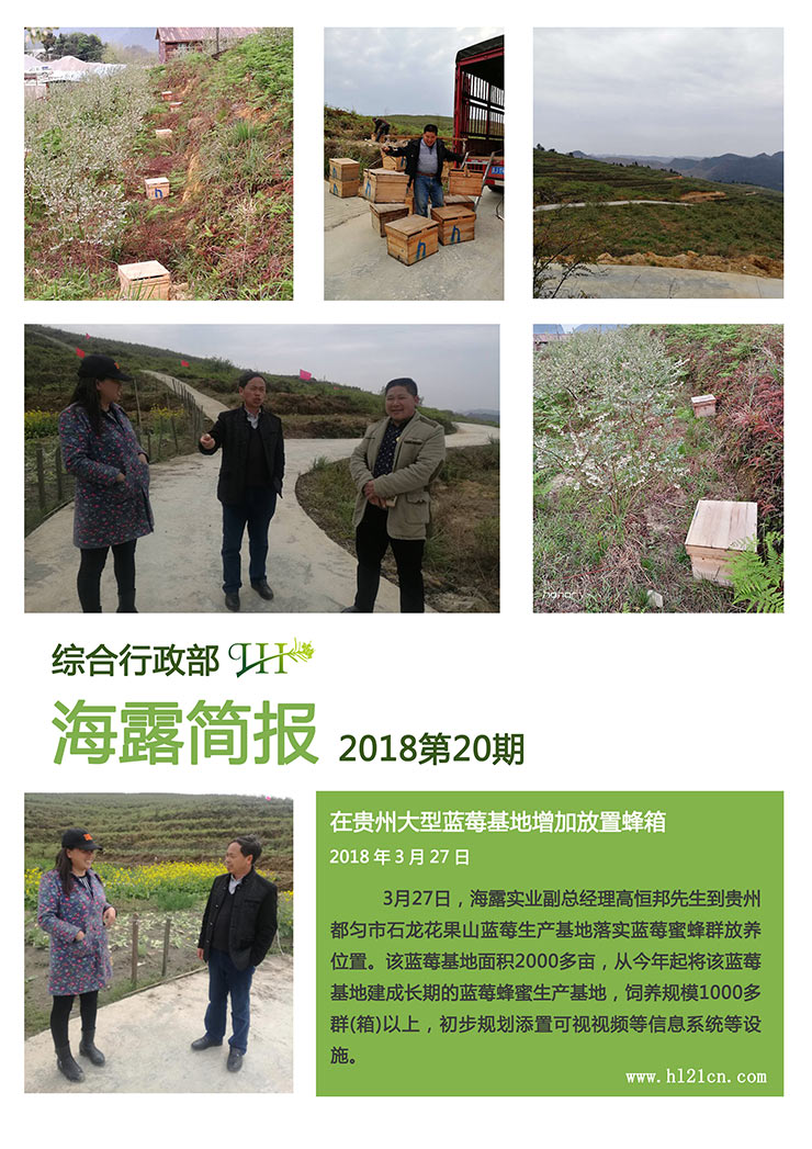 XPJ(中国大陆)有限公司官网