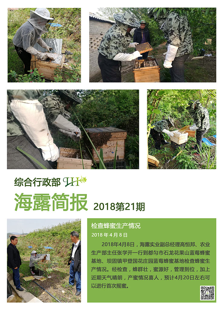 XPJ(中国大陆)有限公司官网