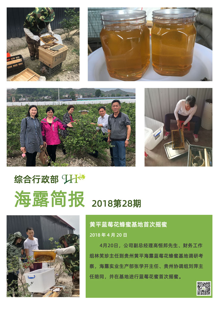 XPJ(中国大陆)有限公司官网