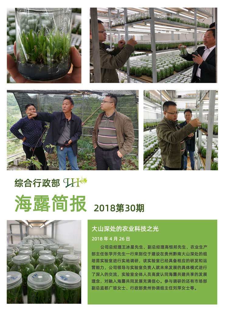 XPJ(中国大陆)有限公司官网