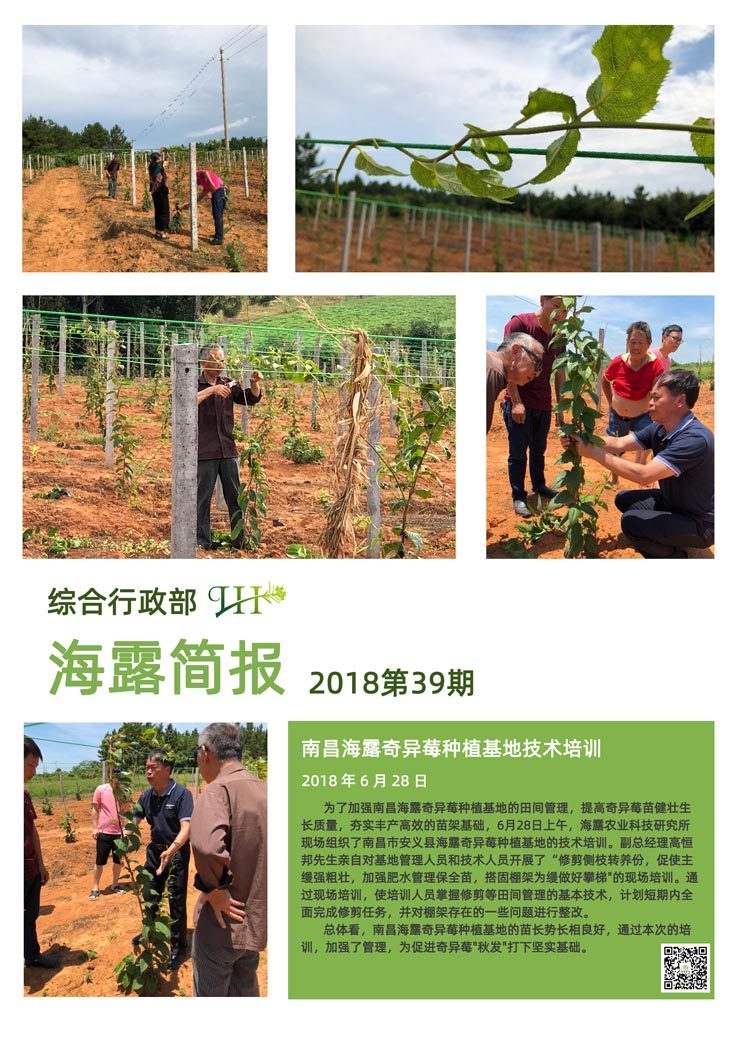 XPJ(中国大陆)有限公司官网