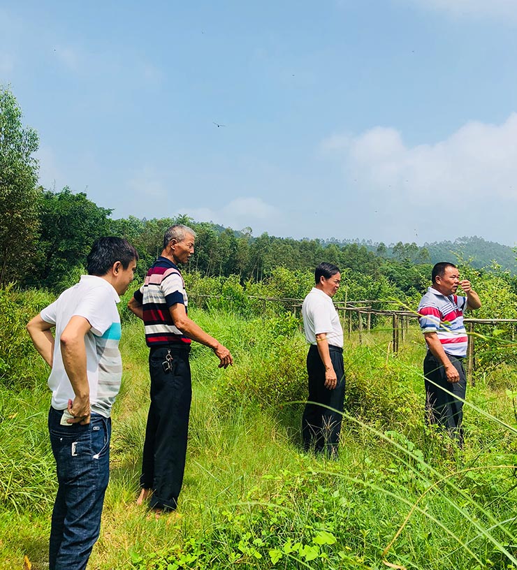 XPJ(中国大陆)有限公司官网