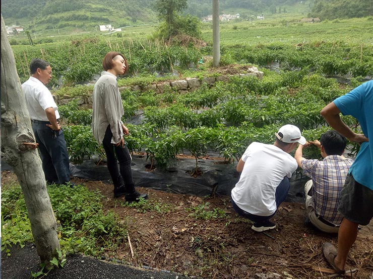 XPJ(中国大陆)有限公司官网