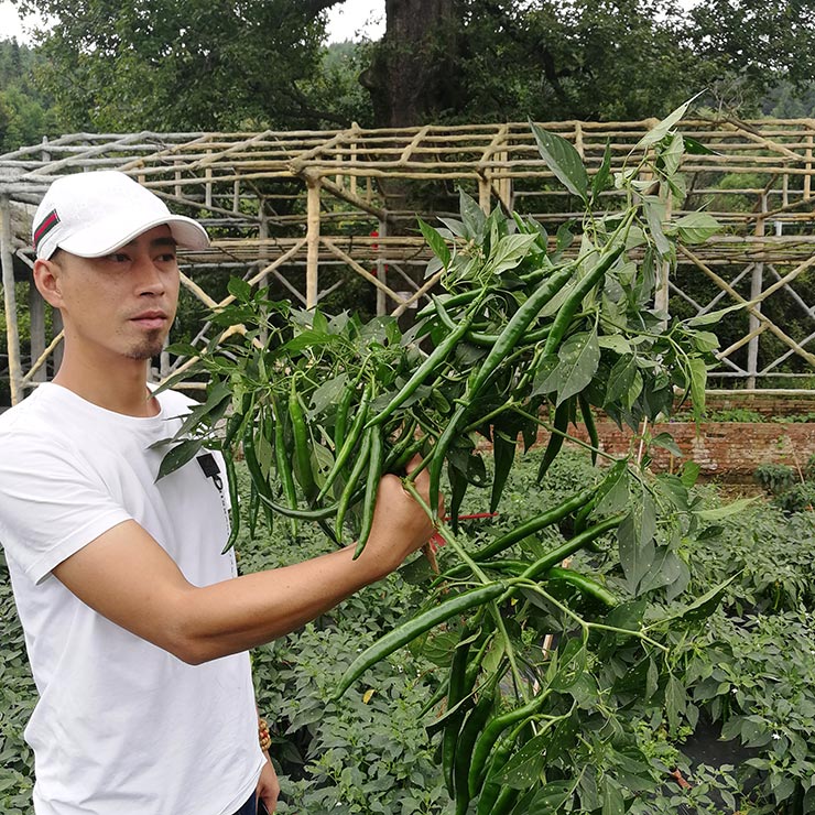 XPJ(中国大陆)有限公司官网