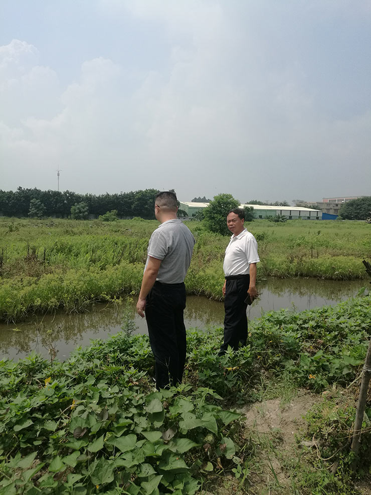 XPJ(中国大陆)有限公司官网