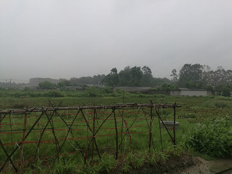 XPJ(中国大陆)有限公司官网