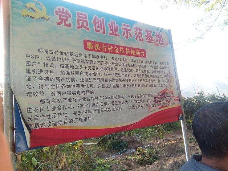 XPJ(中国大陆)有限公司官网