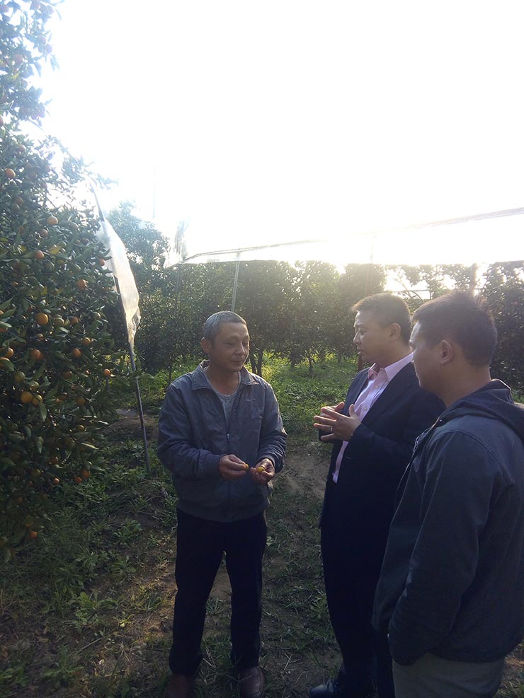 XPJ(中国大陆)有限公司官网