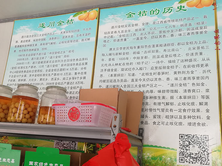 XPJ(中国大陆)有限公司官网