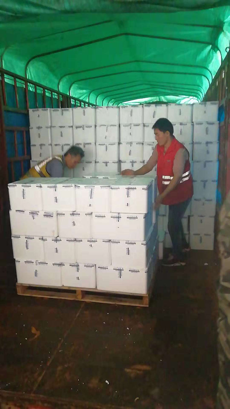 XPJ(中国大陆)有限公司官网