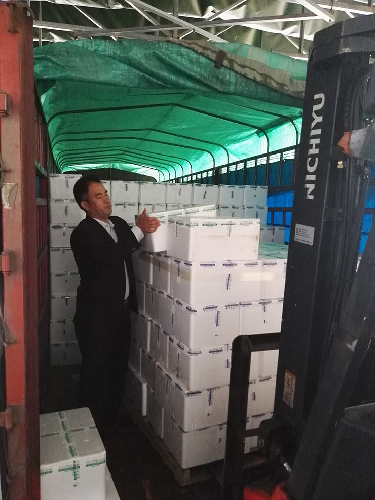 XPJ(中国大陆)有限公司官网