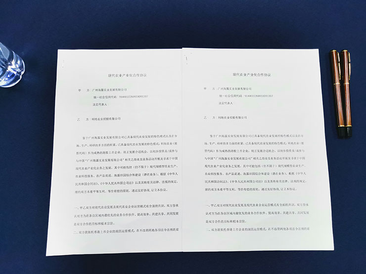 XPJ(中国大陆)有限公司官网