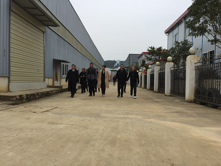 XPJ(中国大陆)有限公司官网