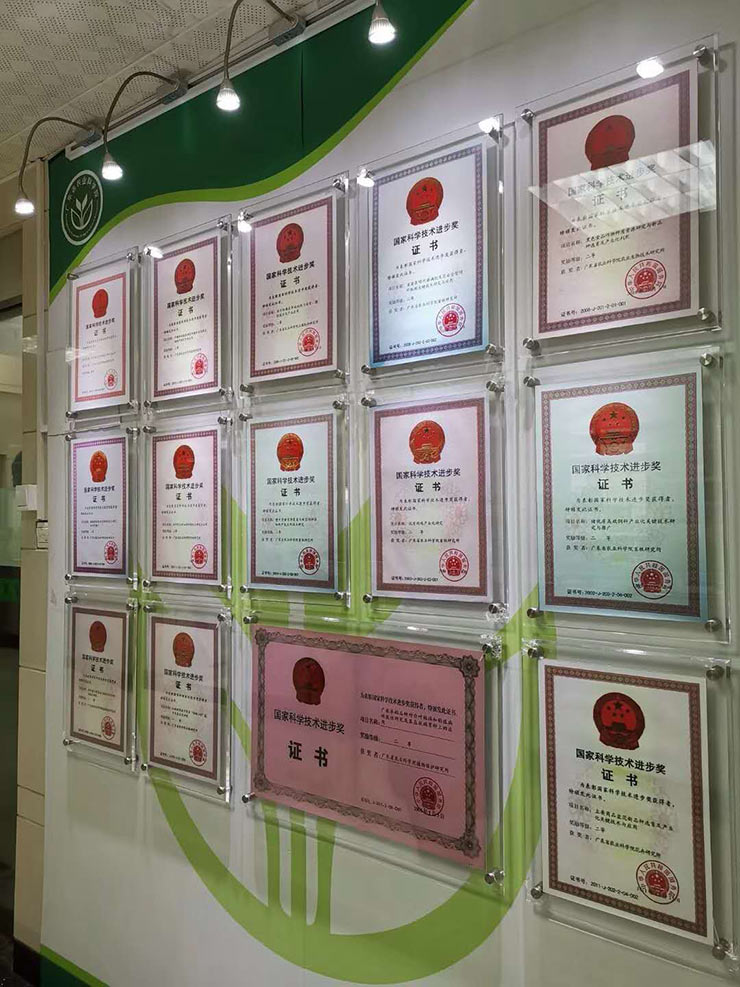 XPJ(中国大陆)有限公司官网