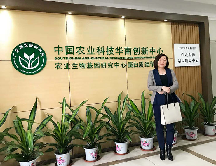 XPJ(中国大陆)有限公司官网