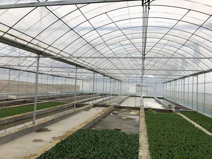 XPJ(中国大陆)有限公司官网