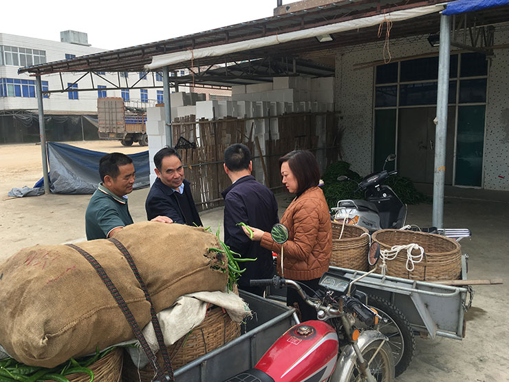 XPJ(中国大陆)有限公司官网