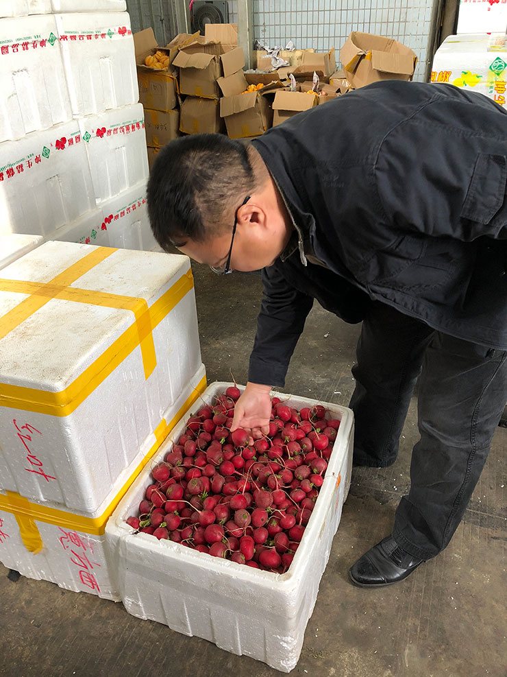 XPJ(中国大陆)有限公司官网