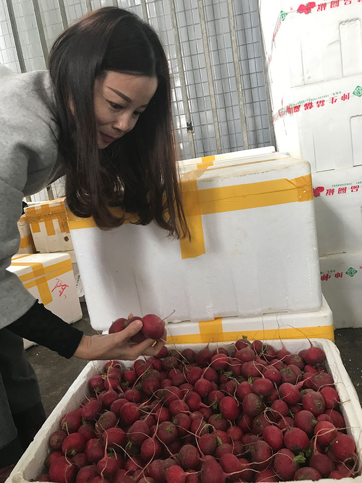 XPJ(中国大陆)有限公司官网