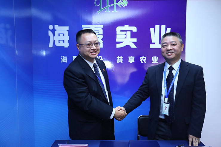 XPJ(中国大陆)有限公司官网