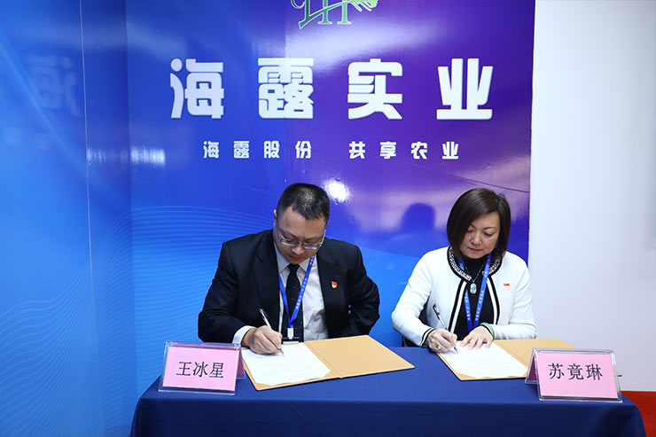 XPJ(中国大陆)有限公司官网