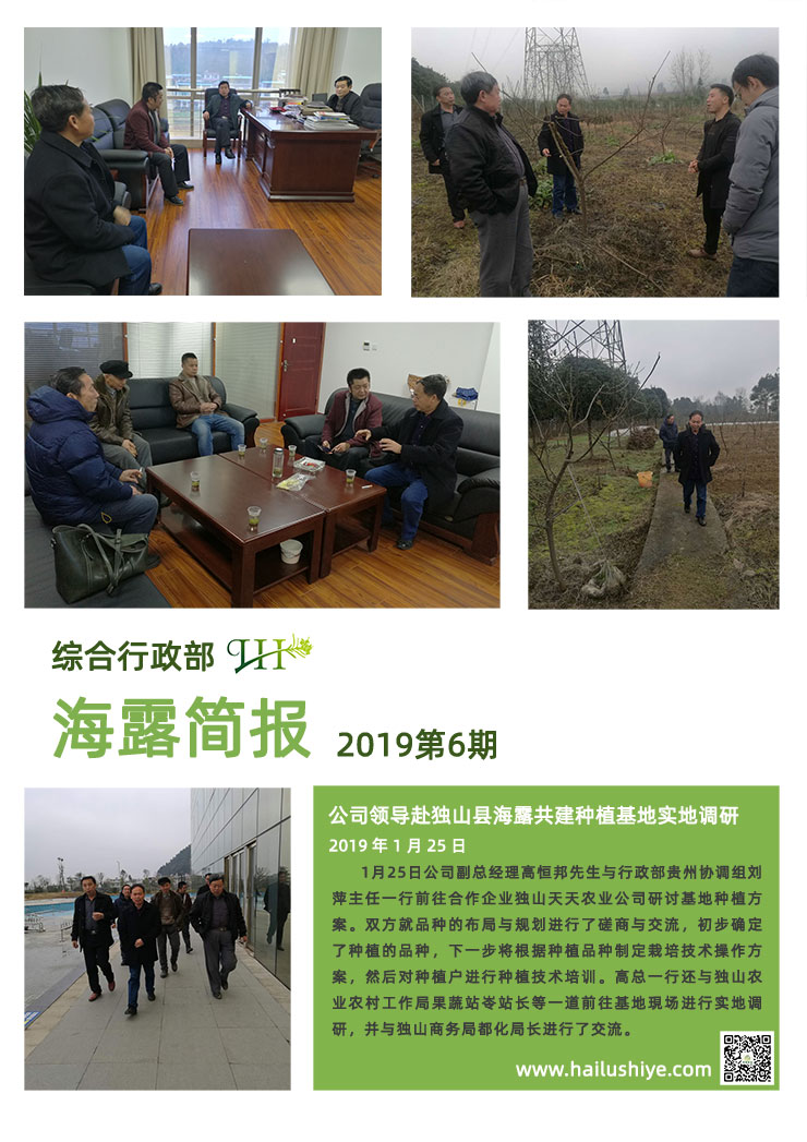 XPJ(中国大陆)有限公司官网