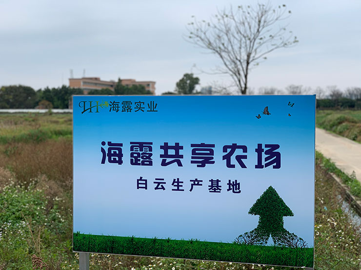 XPJ(中国大陆)有限公司官网