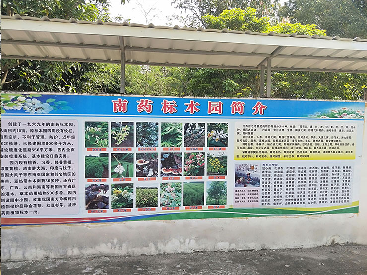 XPJ(中国大陆)有限公司官网