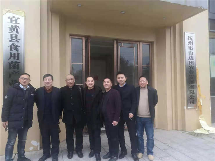 XPJ(中国大陆)有限公司官网