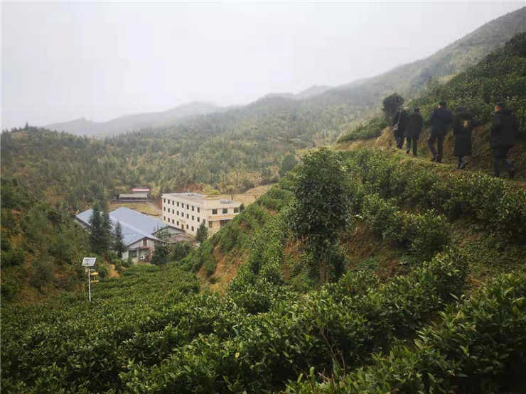 XPJ(中国大陆)有限公司官网