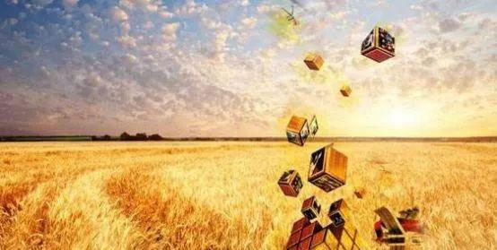 XPJ(中国大陆)有限公司官网