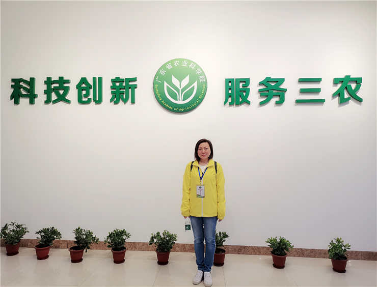 XPJ(中国大陆)有限公司官网