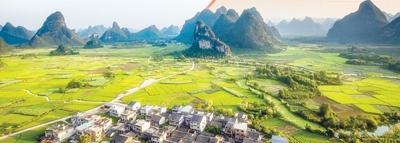 XPJ(中国大陆)有限公司官网