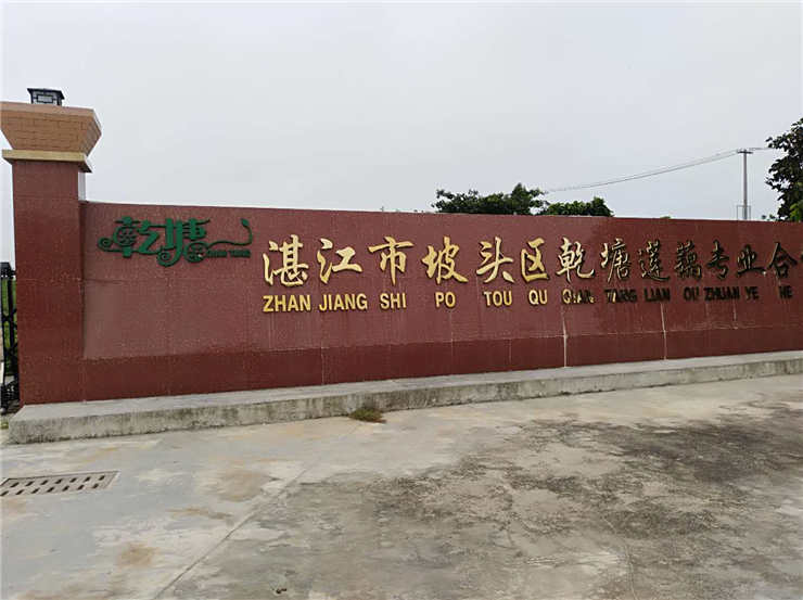 XPJ(中国大陆)有限公司官网