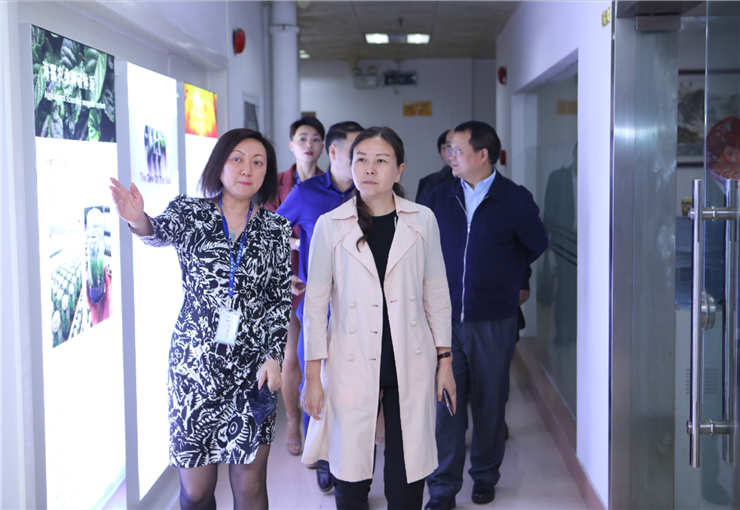 XPJ(中国大陆)有限公司官网