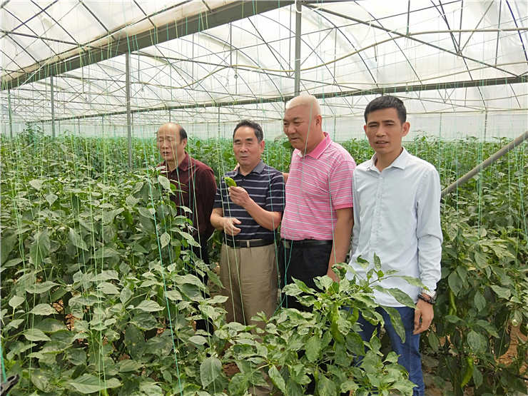 XPJ(中国大陆)有限公司官网