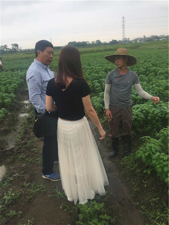 XPJ(中国大陆)有限公司官网