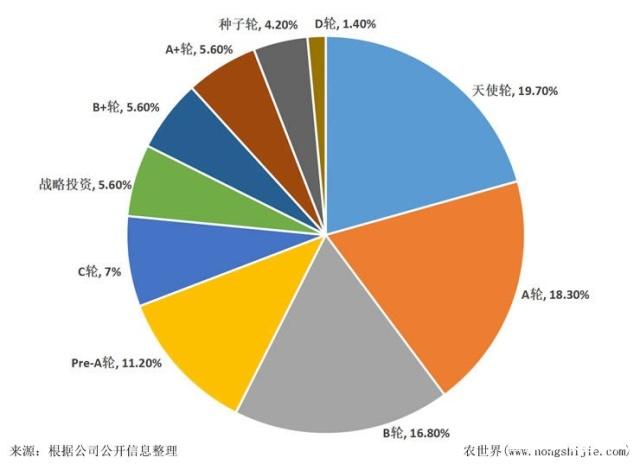 XPJ(中国大陆)有限公司官网