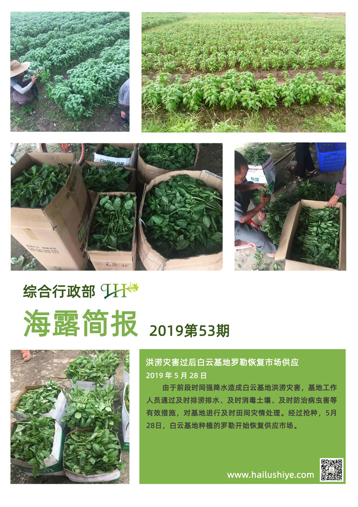 XPJ(中国大陆)有限公司官网