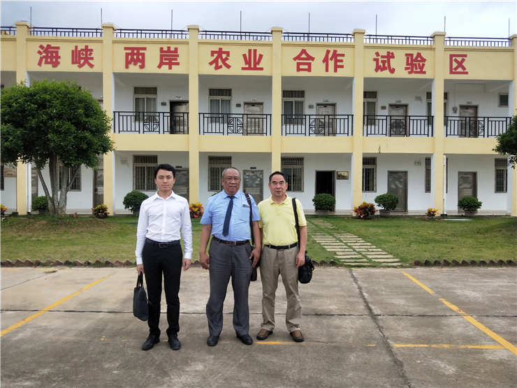 XPJ(中国大陆)有限公司官网