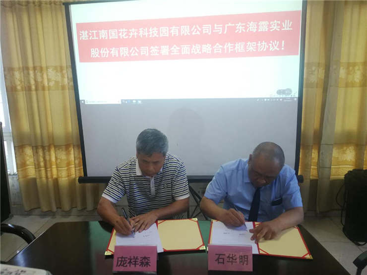 XPJ(中国大陆)有限公司官网