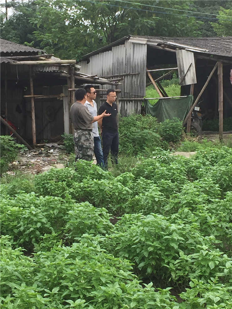 XPJ(中国大陆)有限公司官网