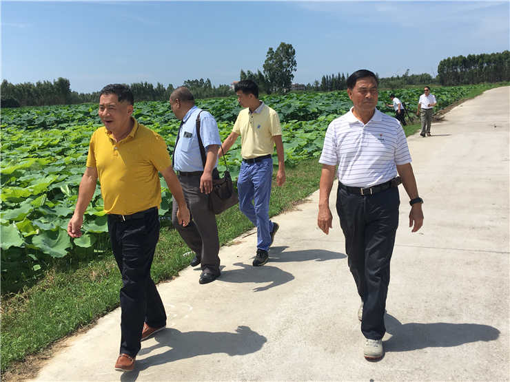 XPJ(中国大陆)有限公司官网