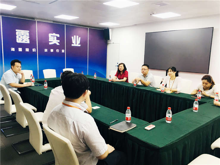 XPJ(中国大陆)有限公司官网