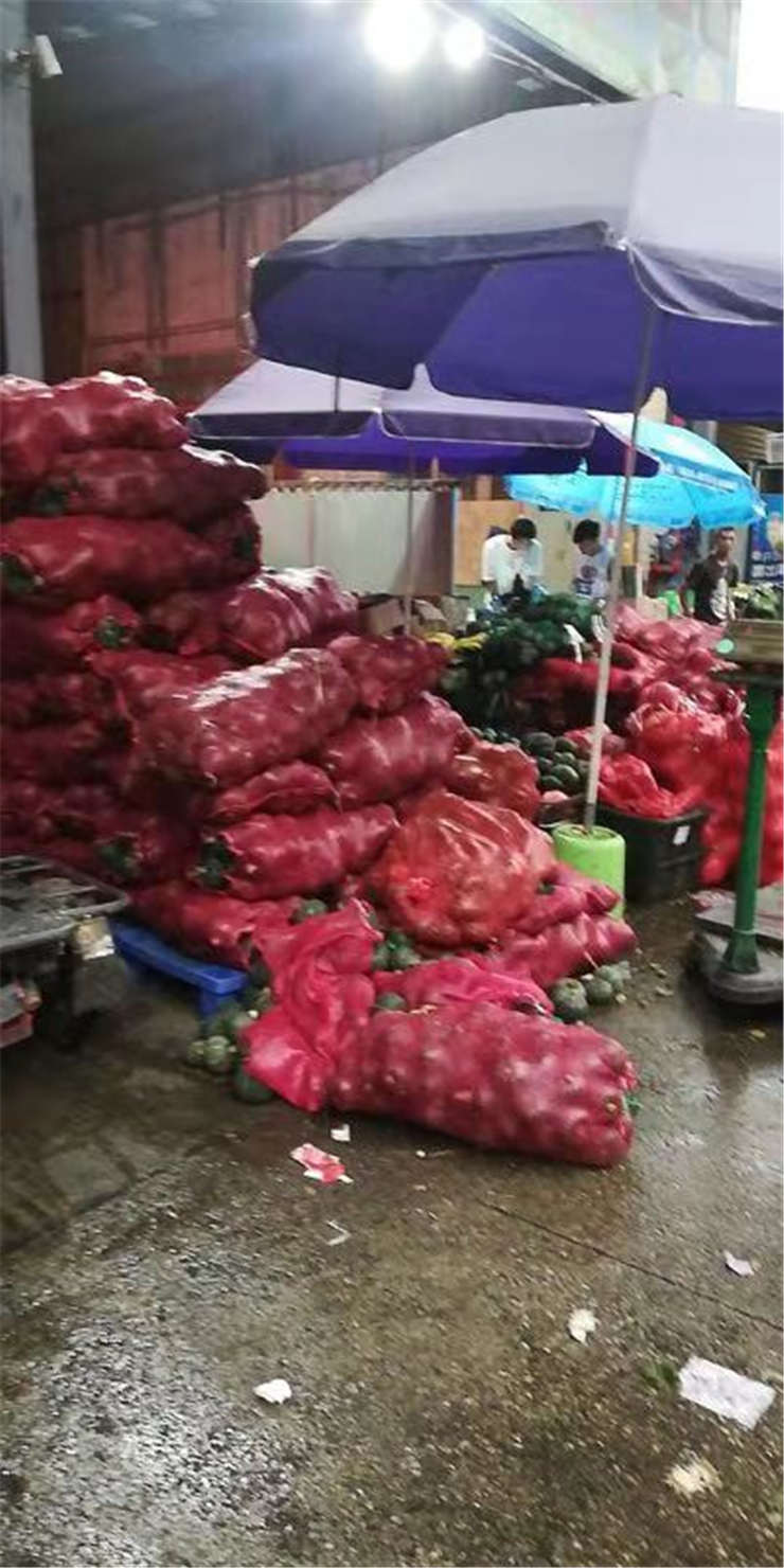 XPJ(中国大陆)有限公司官网