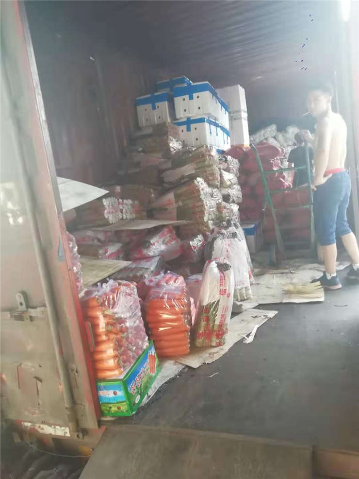 XPJ(中国大陆)有限公司官网