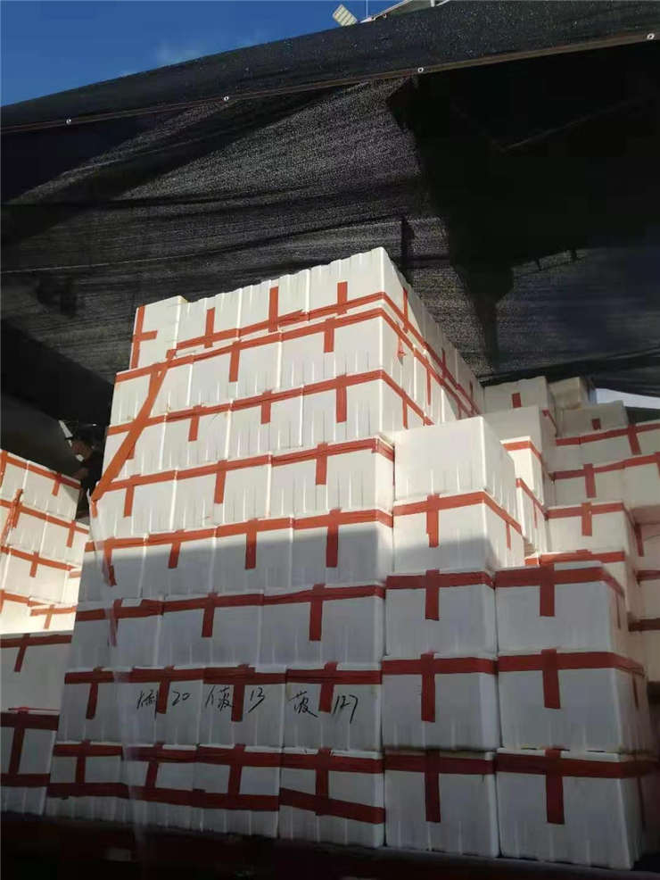 XPJ(中国大陆)有限公司官网