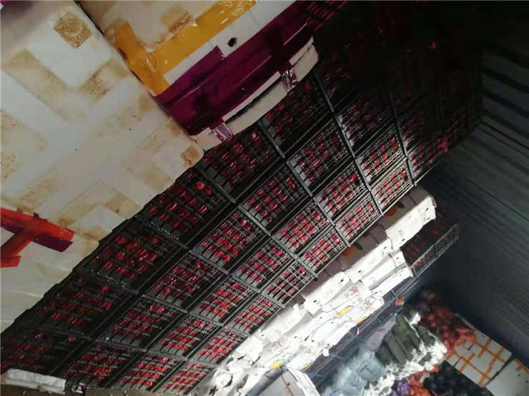 XPJ(中国大陆)有限公司官网